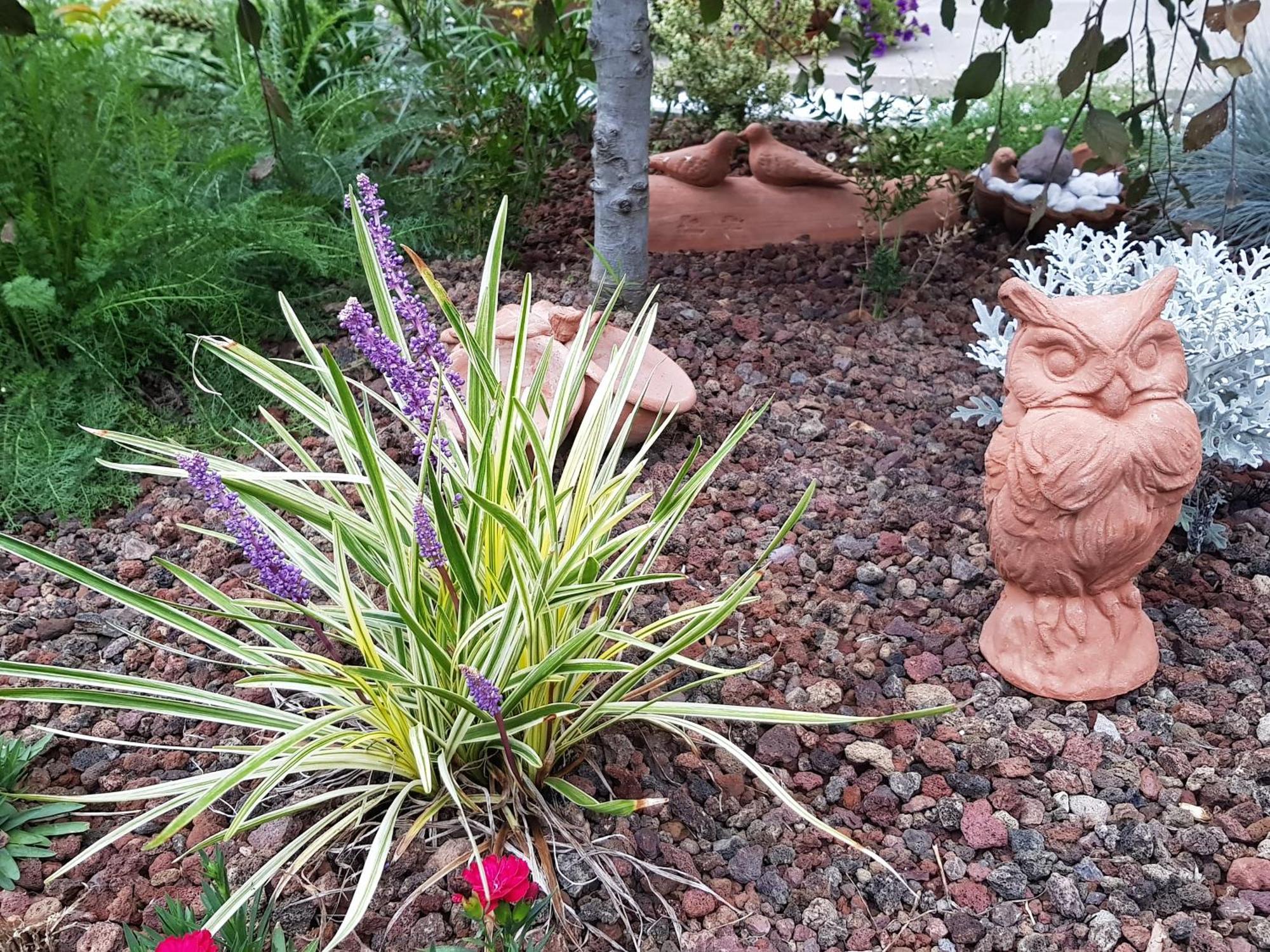 Nel Giardino Di Dafne Villa Stresa Dış mekan fotoğraf